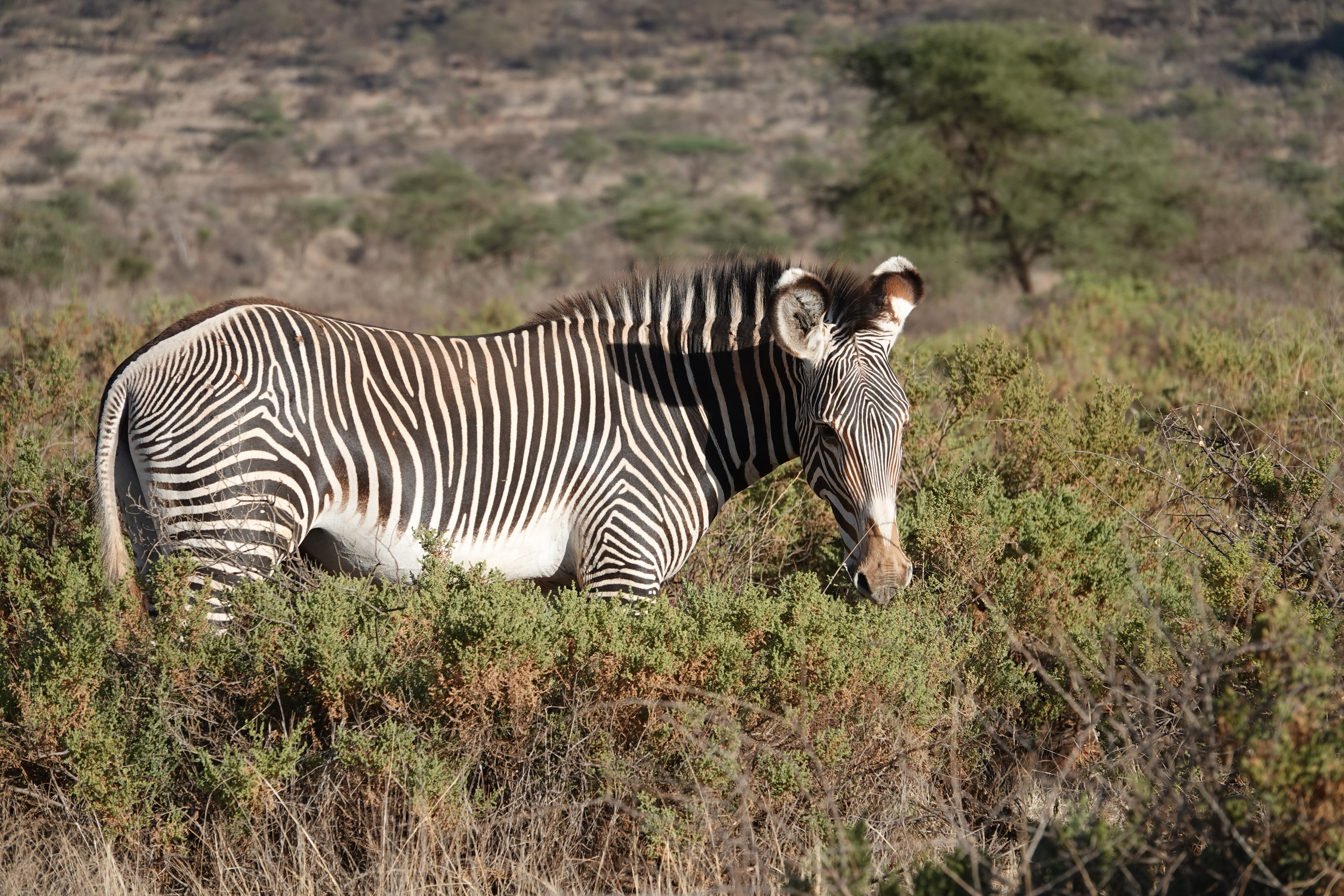 This image has an empty alt attribute; its file name is dsc03061.jpg