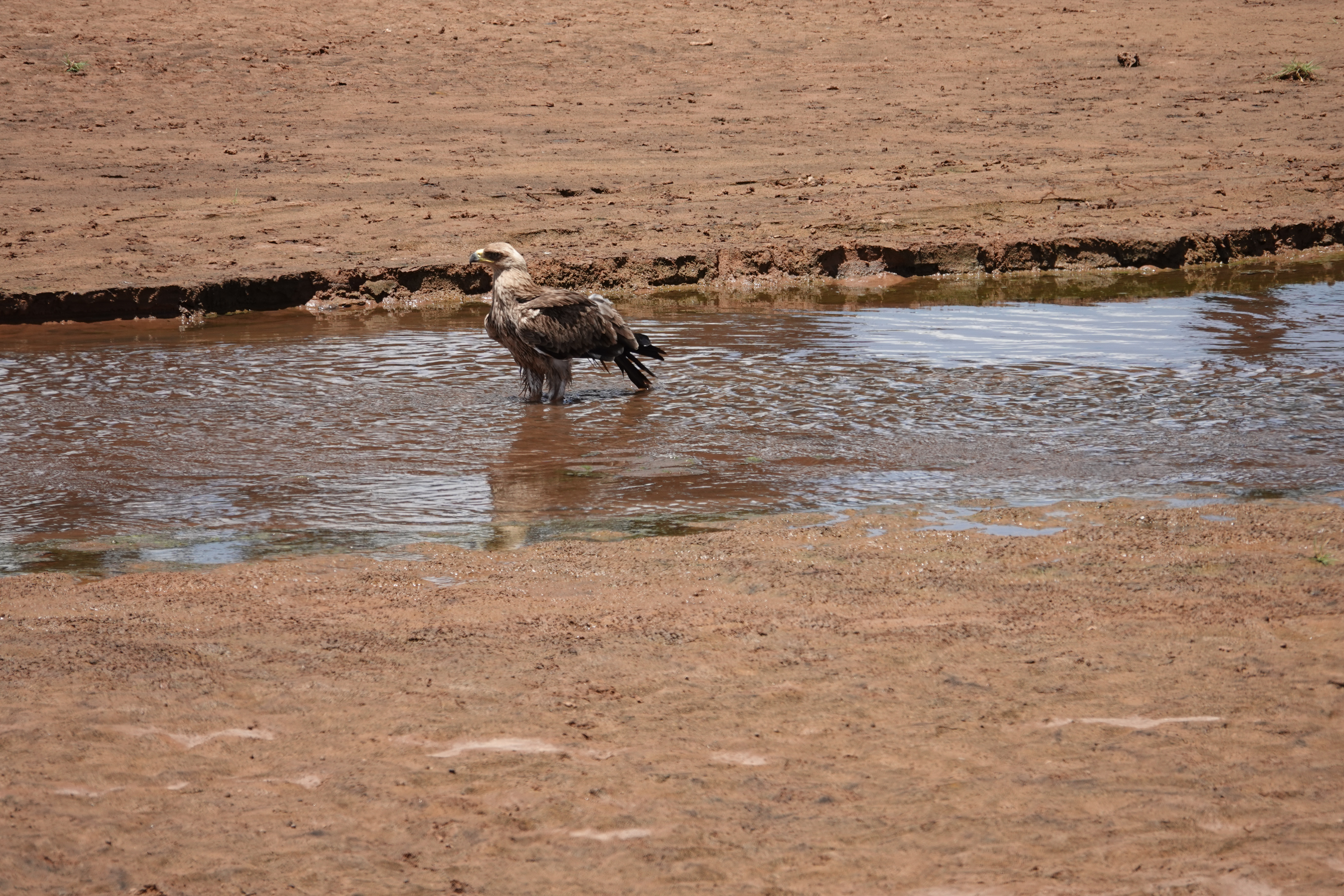 This image has an empty alt attribute; its file name is dsc03147.jpg