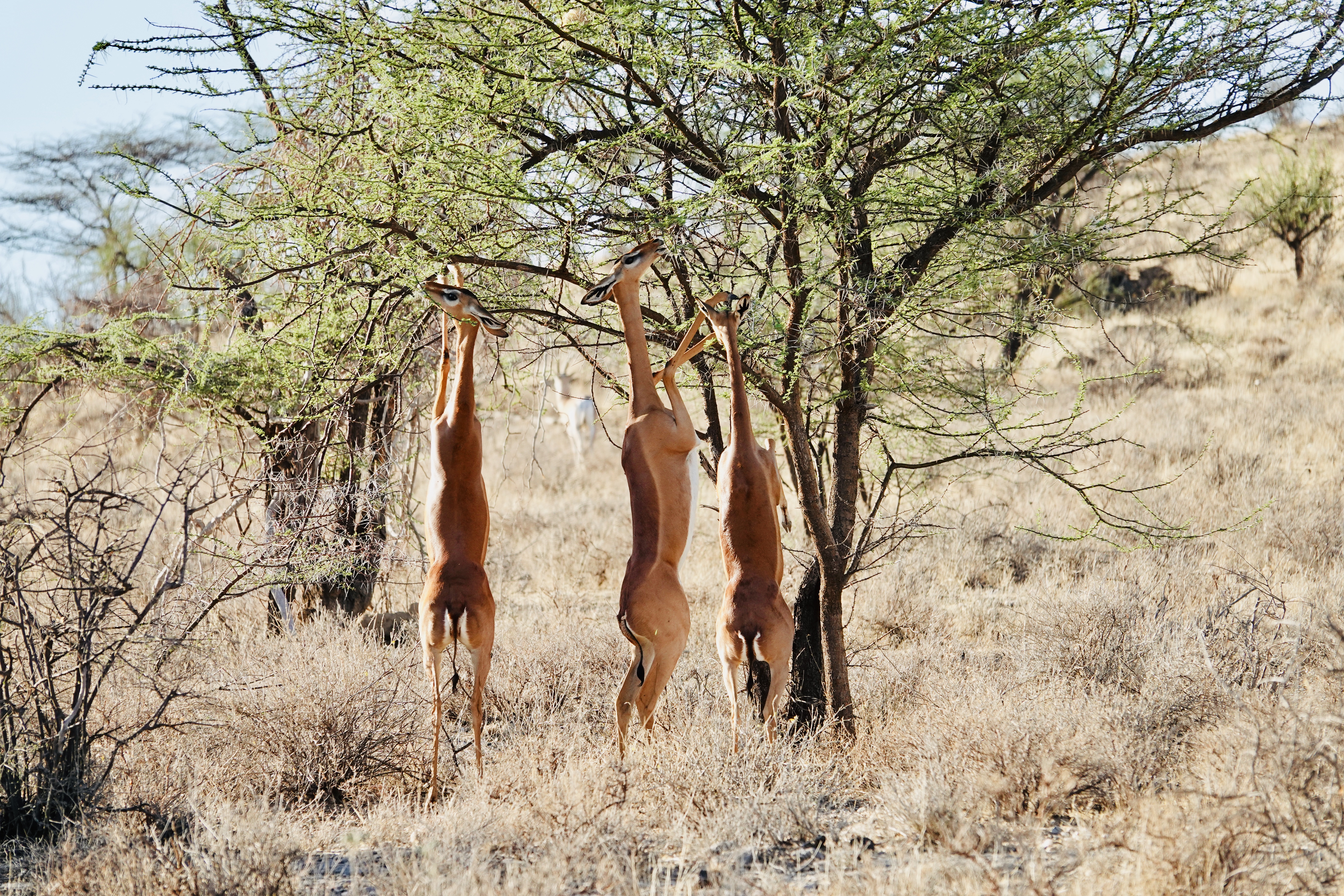 This image has an empty alt attribute; its file name is fullsizeoutput_6bb4.jpeg