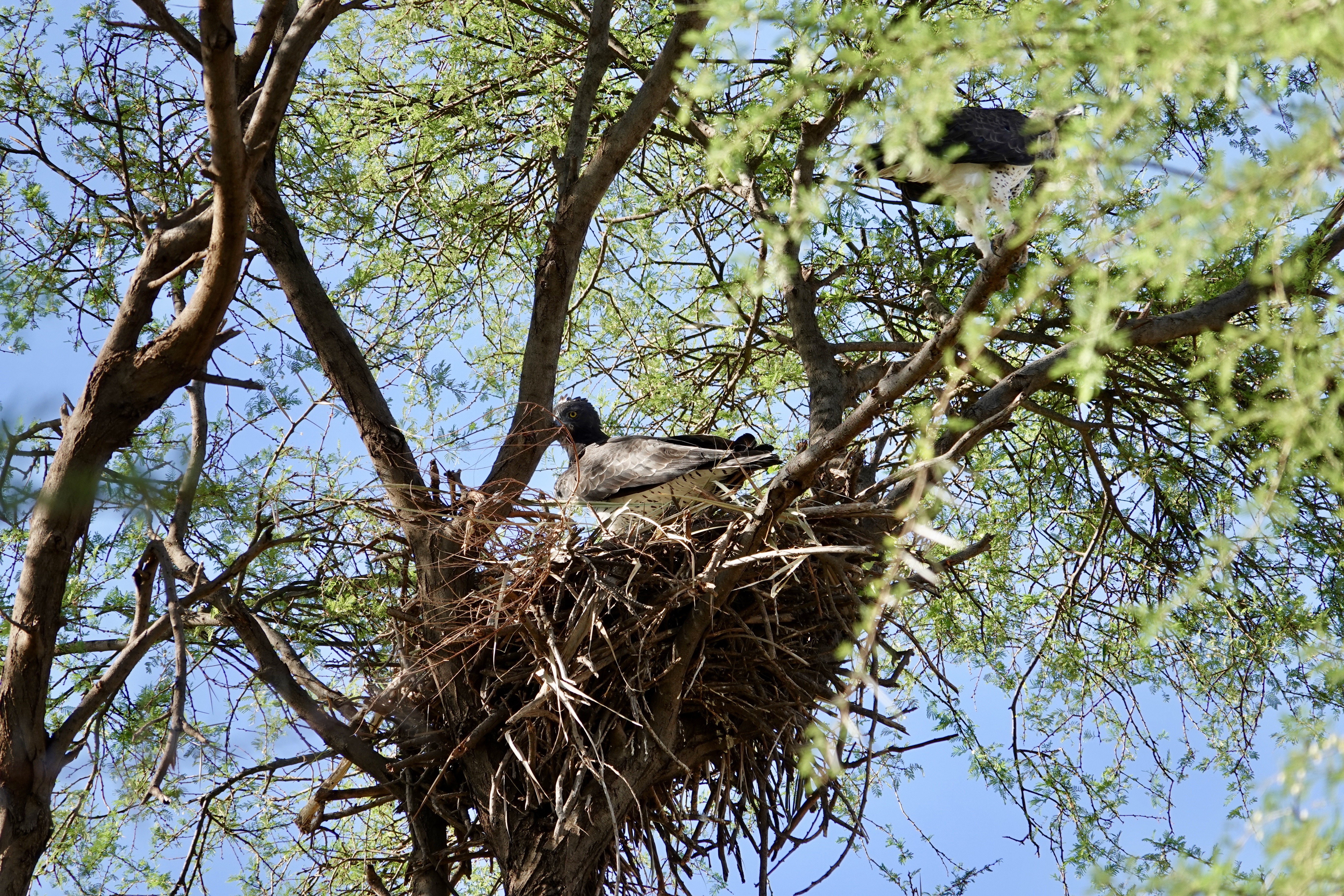 This image has an empty alt attribute; its file name is fullsizeoutput_6bbc.jpeg