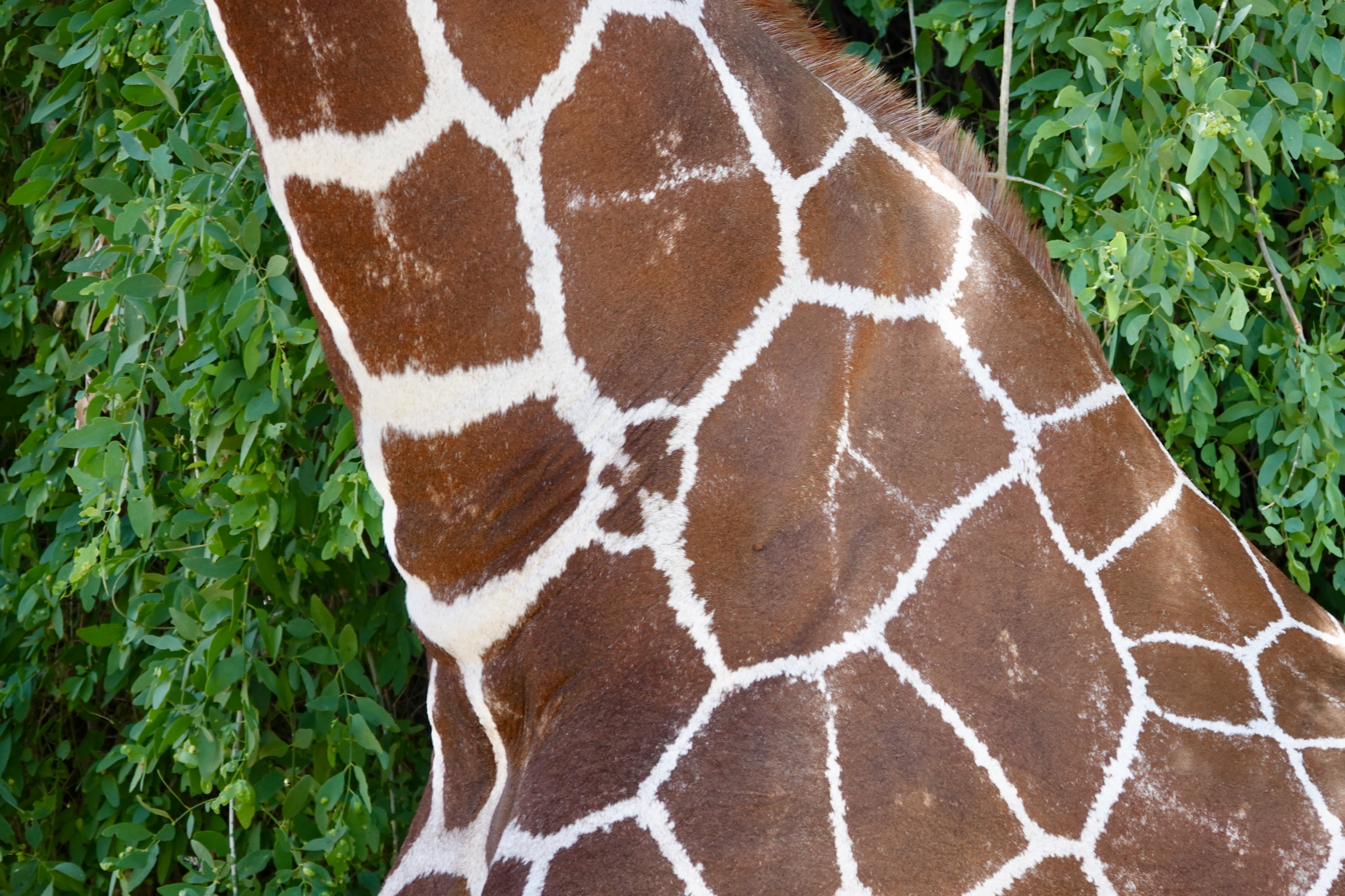 This image has an empty alt attribute; its file name is fullsizeoutput_6bcf.jpeg